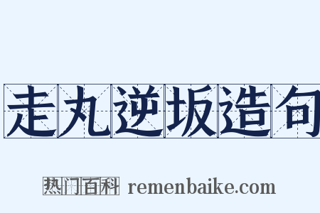 走丸逆坂造句是什么意思的图片